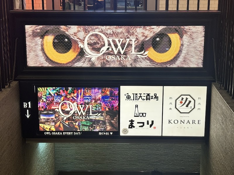 OWL photo 4